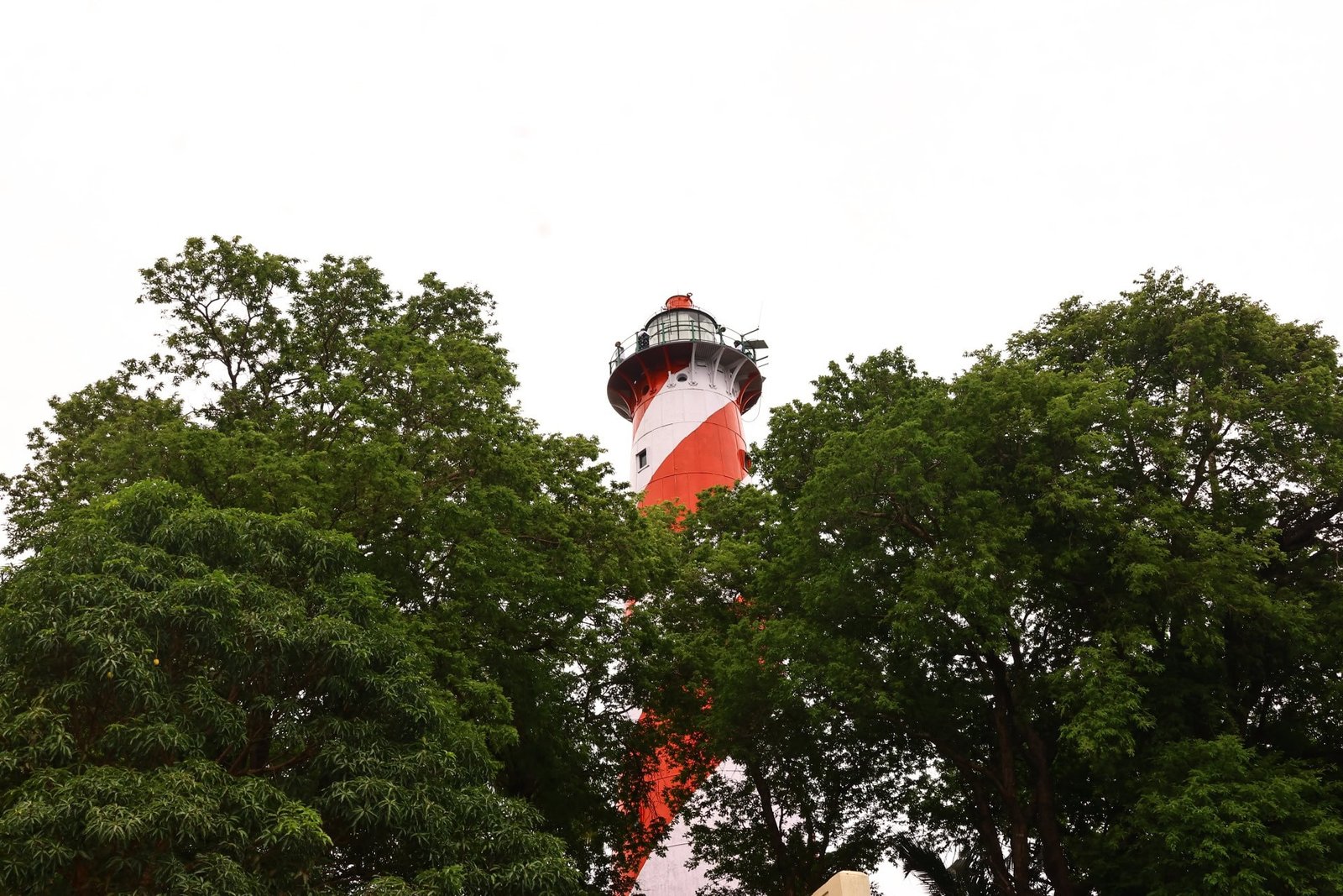 North Bay Island Guide